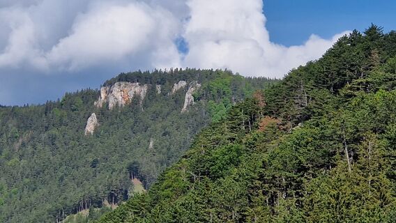 Photo de Leo Reiterer le long du parcours
