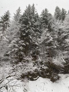 Foto van Nol van der Linden langs de tour