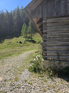 Fotografija s spletne strani Damir Habuš na poti