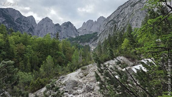 Fotografija s spletne strani euterpe42 na poti