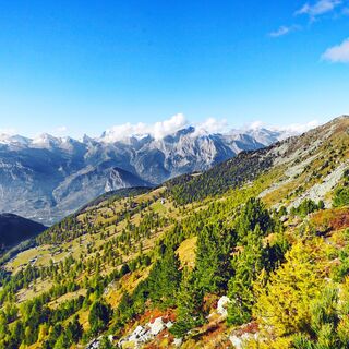 Ausblick aufs Tal im Herbst