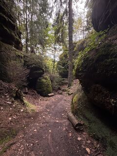 Foto von Erik Schwarz entlang der Tour