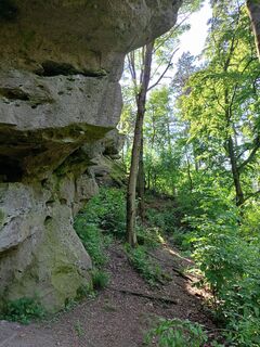 Fotografia z Rene Mrakava na trase