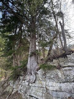 Foto von Denise Miller entlang der Tour