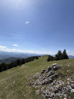 Foto von Simon entlang der Tour