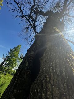 Foto von Klaus Deschka entlang der Tour