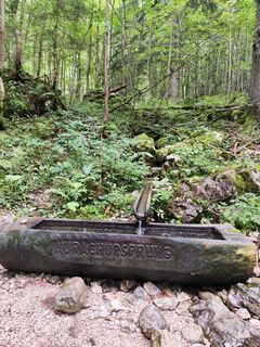 Fotó a Edith K. honlapról a túra során