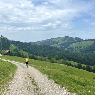 Forstweg Richtung Mittelstieg Alpe