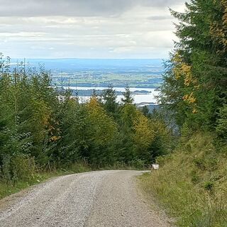 Fotografia z mosi mönä na trase