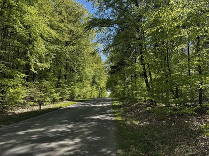 Fotografija s spletne strani Schaali na poti