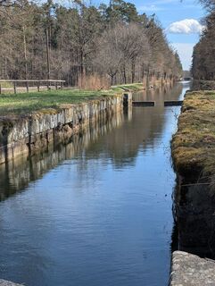 Foto de Speedy Gonzales a lo largo del recorrido
