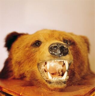 Büchsenmacher- und Jagdmuseum