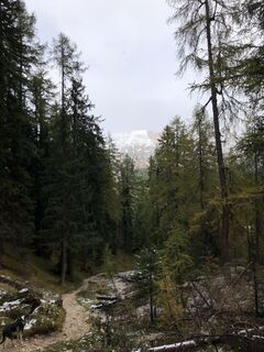 Photo de Matthias Biala le long du parcours