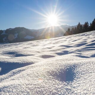 Reith Schneeglitzer