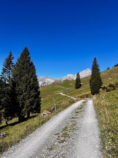 Fotografija s spletne strani F A 4 na poti