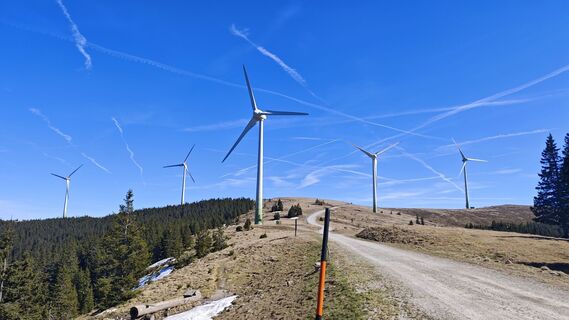Foto von kurtz entlang der Tour