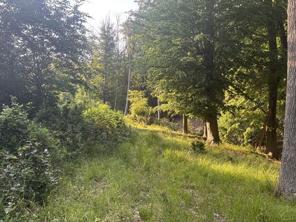 Foto von Reti Alicia entlang der Tour