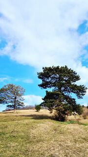 Fotografie z Elisabeth Rossa na trase