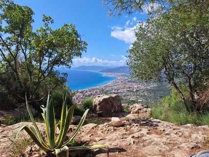 Fotografija s spletne strani DiMichelis na poti