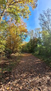 Foto von Regina Fleischmann entlang der Tour