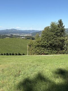 Foto från Reinhard Frewein under resans gång