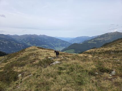 Foto von Silke S. entlang der Tour