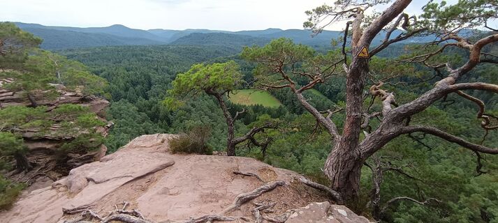 Fotografija s spletne strani Uwe Bähtz na poti