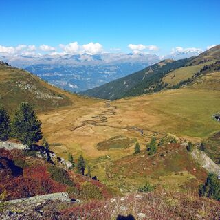 Hochmoor Ar du Tsan oberhalb von Vercorin