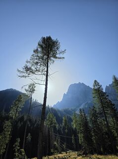 Fotografija s spletne strani Gianluca Bucciantini na poti
