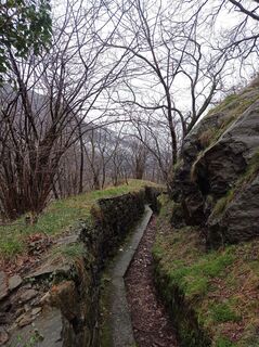 Photo de Aner le long du parcours