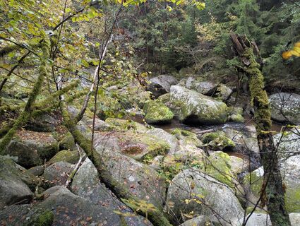 Foto fra Claudia Thime undervejs på turen