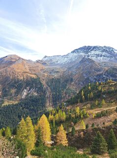 Foto von Pinzger Petra ??‍♀️?? entlang der Tour
