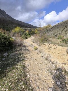 Fotografie z Gerry Girardi na trase