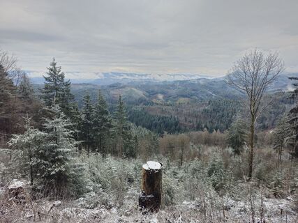 Foto von Maximilian Oehler entlang der Tour