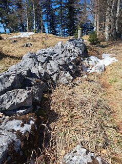 Foto de GAdamec a lo largo del recorrido