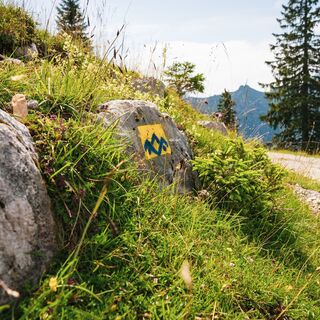 Markus_Baumgartner_Rauschberg über Hutzenauer Steig (11).JPG