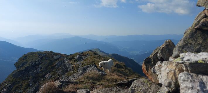 Photo from karoline lengdorfer along the tour