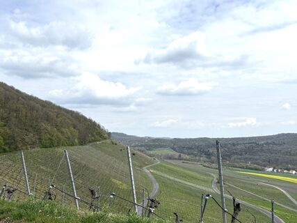 Photo de Norbert Herbig le long du parcours