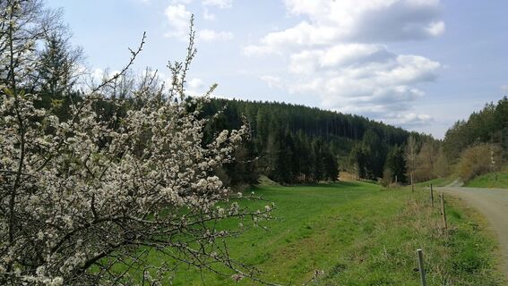 Von Schöndorf ins Tal des Plothenbaches