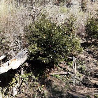 Wörthersee Rundwanderweg Klagenfurt - Pörtschach