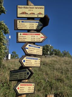 Photo de János Zsolt Mahr le long du parcours