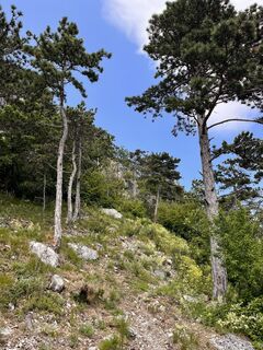 Foto von Marlies Berwein entlang der Tour