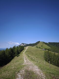 Foto de Hakuna Matata a lo largo del recorrido