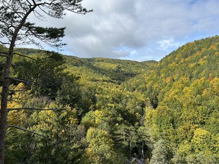 Fotografia z tjiong na trase