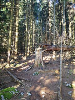 Foto de 3d63 ru^^n3r a lo largo del recorrido