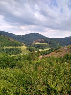 IMG_20210703_180134819_HDR.jpg
