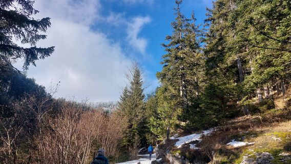 Fotografija s spletne strani Karin Svozil na poti