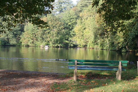 Klosterteich Loccum