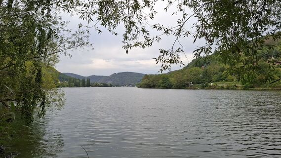 Fotografija s spletne strani Márti na poti