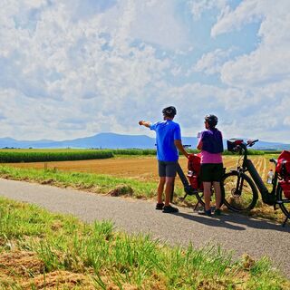 Cyclo Rando Piste Obernai